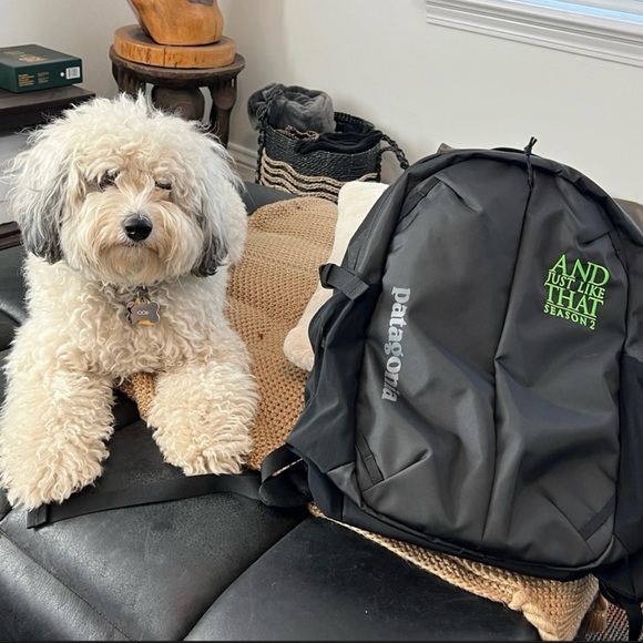 Flash Sale! “And Just like That” AJLT - NEW RARE Patagonia Crew Member Backpack! - Picture 4 of 14